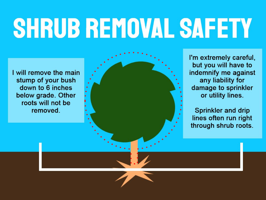 Shrub Removal Safety